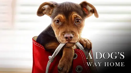 Watch film A Dog