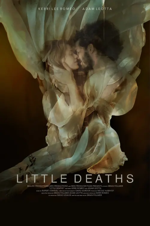 Movie poster "Little Deaths"