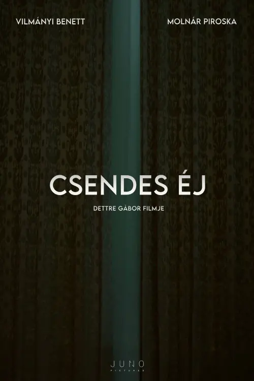 Movie poster "Csendes éj"