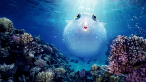 Watch film Puff: Wonders of the Reef | Puff: Wonders of the Reef | Official Trailer | Netflix