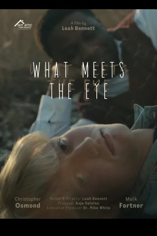 Movie poster "What Meets The Eye"