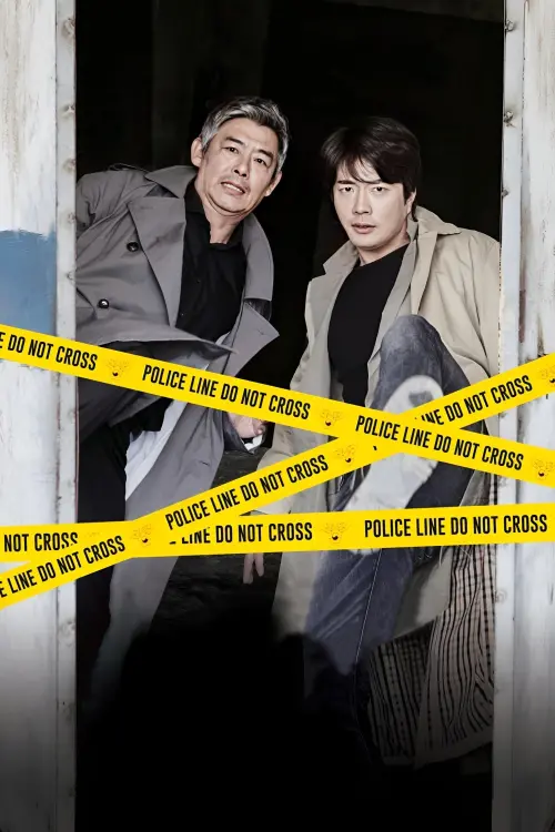 Movie poster "The Accidental Detective"