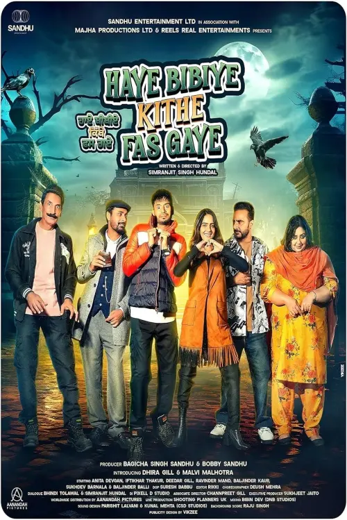 Movie poster "Haye Bibiye Kithe Fas Gaye"