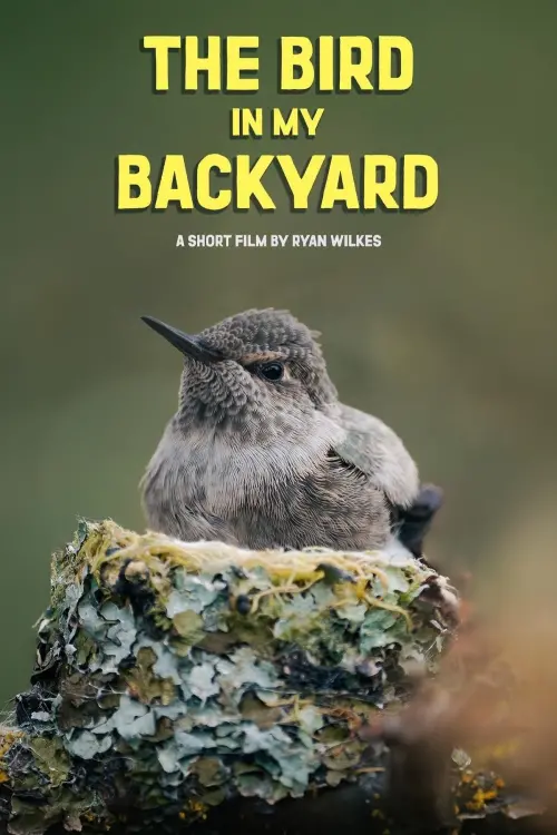 Movie poster "The Bird in My Backyard"