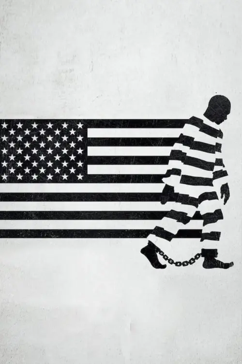 Movie poster "13th"