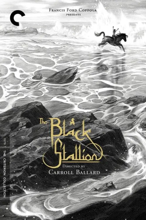 Movie poster "The Black Stallion"