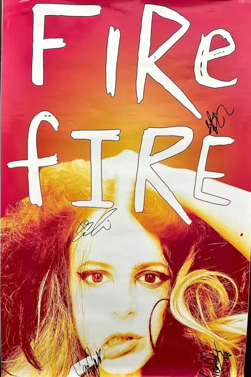 Movie poster "Fire F***ing Fire"