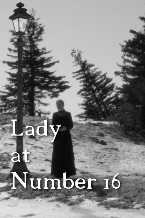 Movie poster "Lady at Number 16"