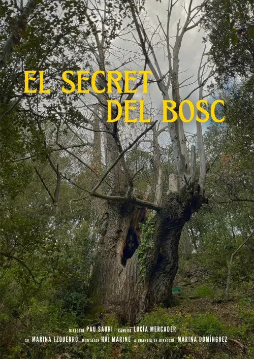 Movie poster "El Secret del Bosc"