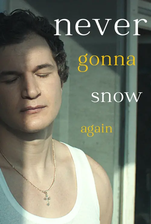 Movie poster "Never Gonna Snow Again"