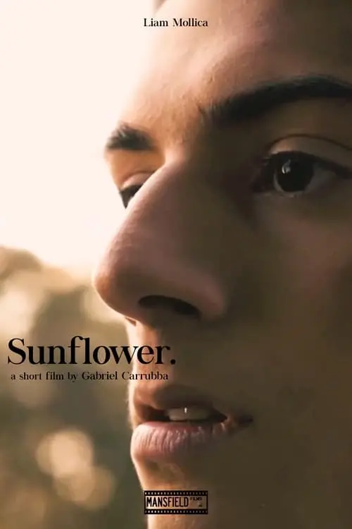 Movie poster "Sunflower"