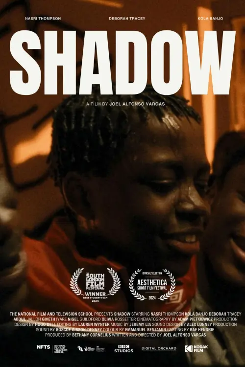 Movie poster "Shadow"