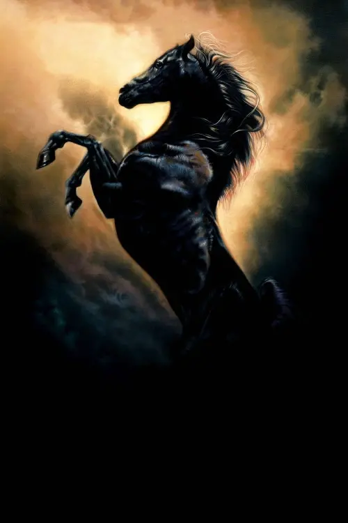 Movie poster "Young Black Stallion"