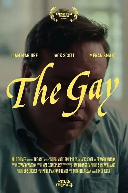 Movie poster "The Gay"