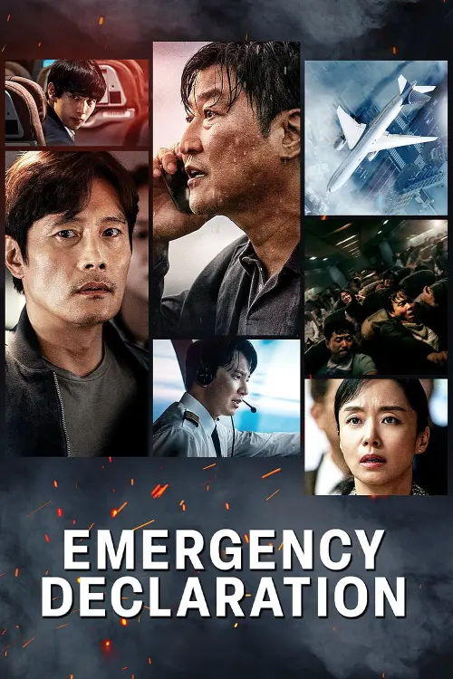 Movie poster "Emergency Declaration"