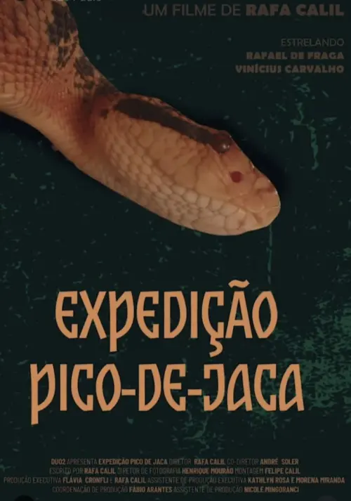 Movie poster "Expedição Pico-De-Jaca"