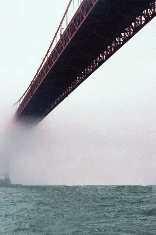 Movie poster "The Bridge"