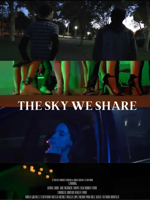 Movie poster "The Sky We Share"