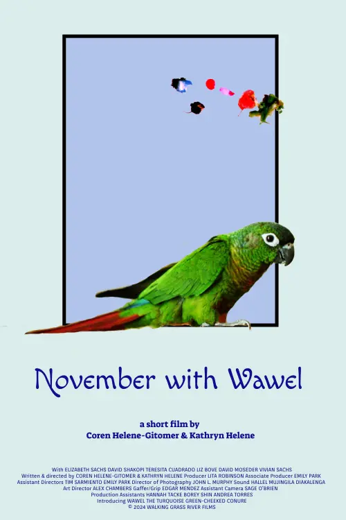 Movie poster "November with Wawel"