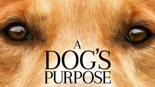 Watch film A Dog