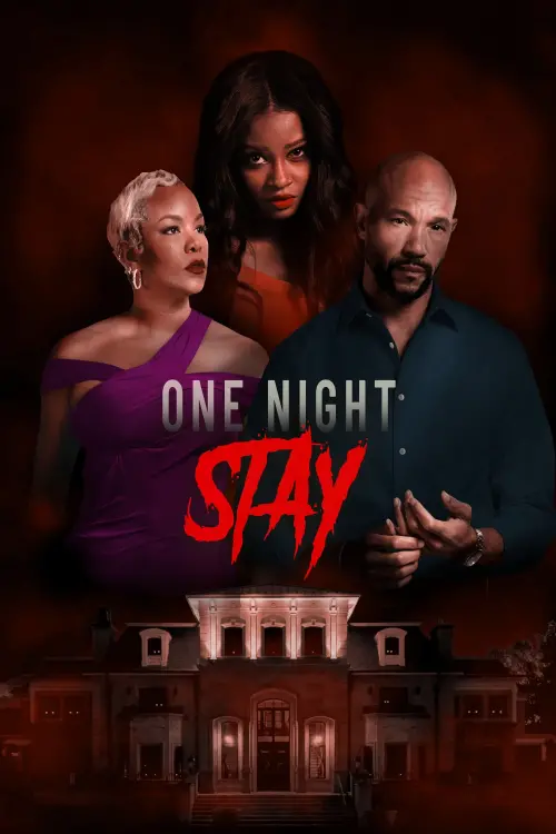 Movie poster "One Night Stay"