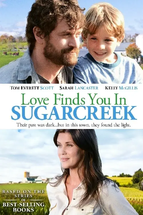 Movie poster "Love Finds You In Sugarcreek"