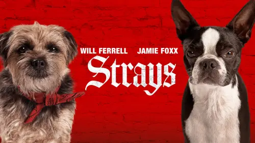 Watch film Strays | Official Trailer