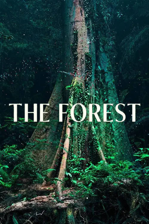 Movie poster "The Forest"