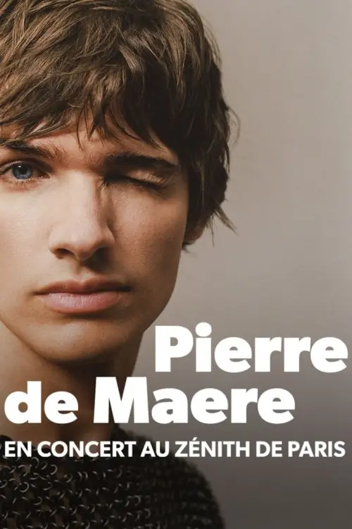 Movie poster "Pierre de Maere en concert au Zénith de Paris"