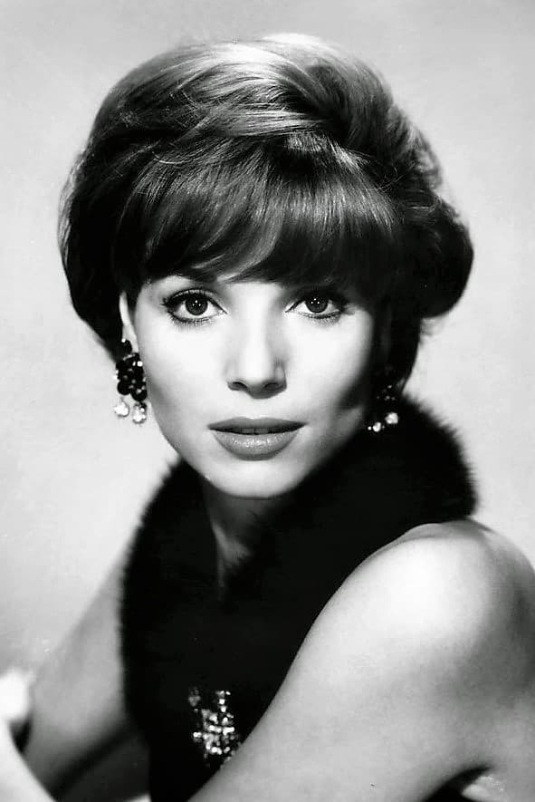 Photo Elsa Martinelli