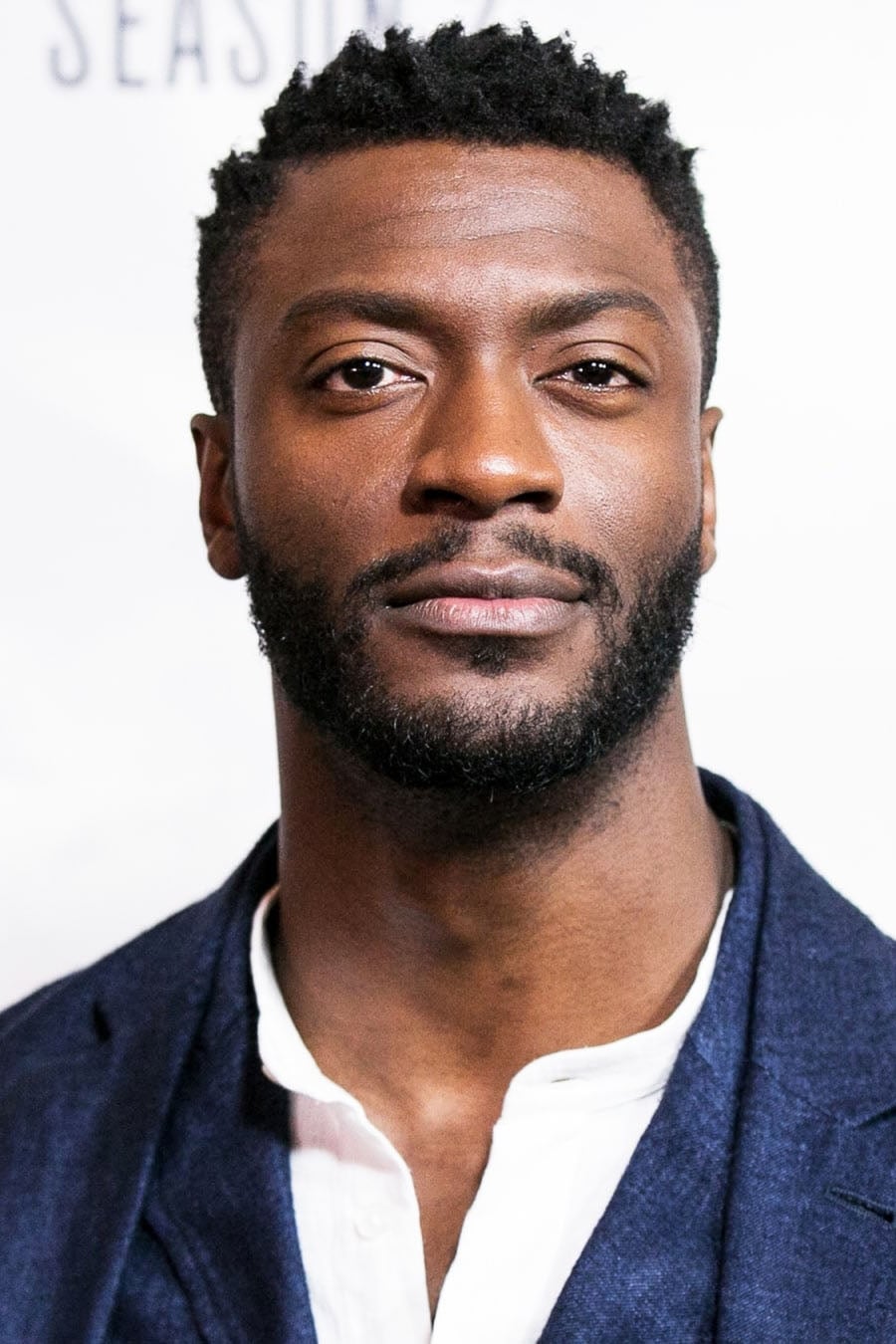 Photo Aldis Hodge