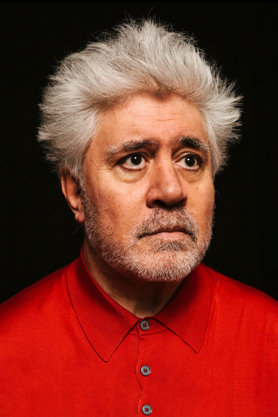 Photo Pedro Almodóvar