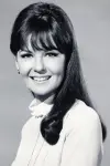 Photo Shelley Fabares #184016