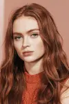 Photo Sadie Sink #28884