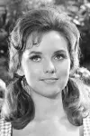 Photo Dawn Wells #330113