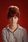 Photo Anna Karina #109042