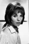 Photo Elsa Martinelli #115973