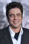 Photo Benicio del Toro #6484