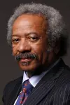 Photo Allen Toussaint #285423