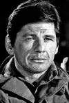 Photo Charles Bronson #44219