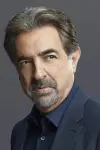 Photo Joe Mantegna #23282