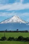 Photo Te Kāhui Tupua Taranaki Mounga #330546