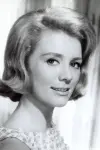 Photo Inger Stevens #95675