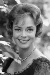 Photo June Lockhart #99599