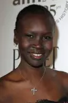 Photo Alek Wek #98651