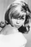 Photo Nancy Sinatra #224784