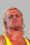 Photo Curt Hennig #331390