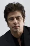 Photo Benicio del Toro #6486