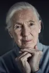 Photo Jane Goodall #247797