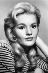 Photo Tuesday Weld #49372